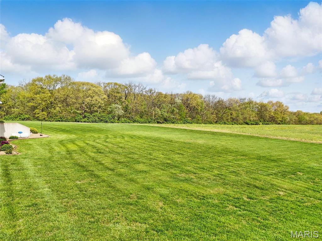 1256 Highway Ee Property Photo 55