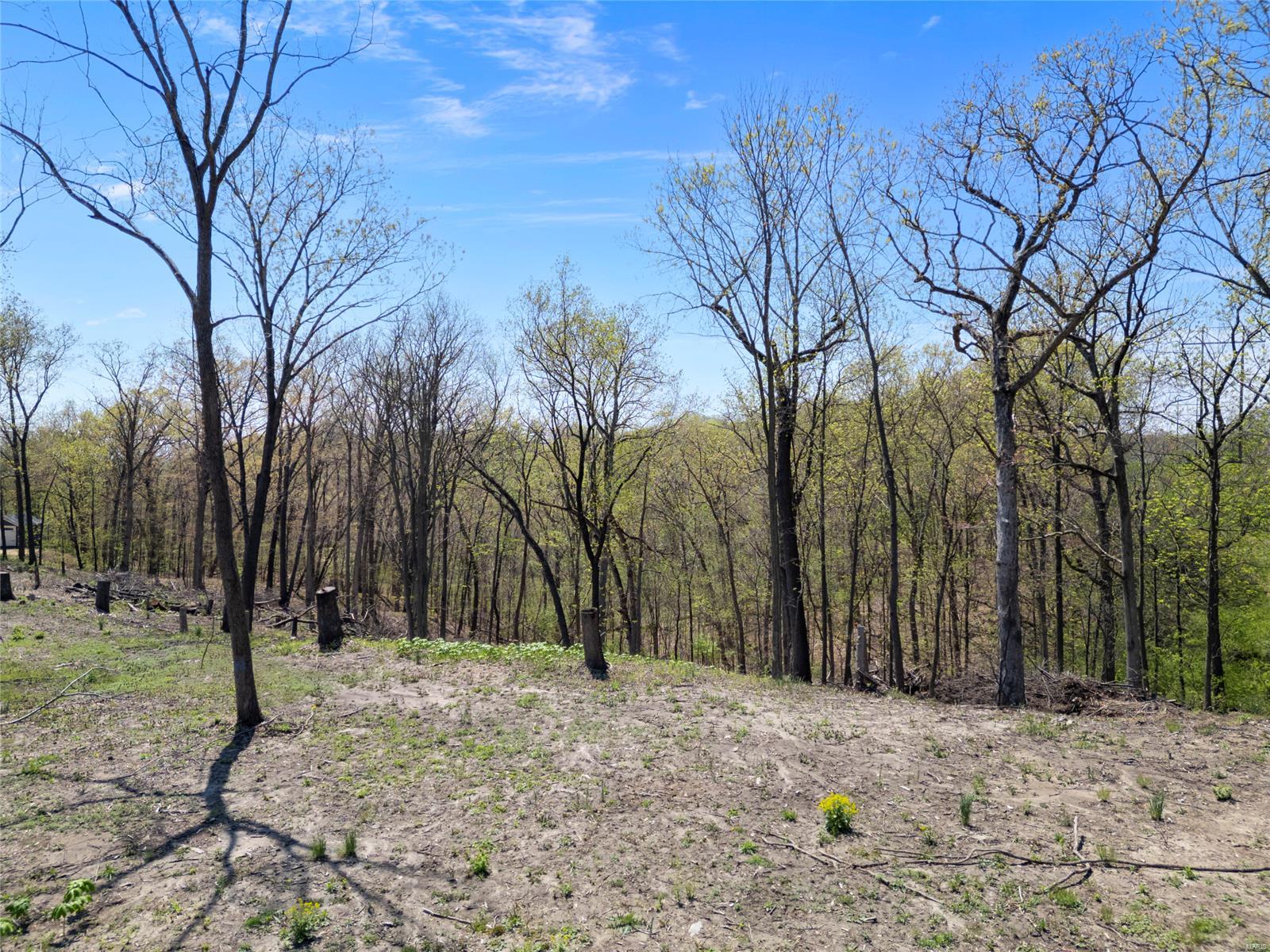 0 Iron Mountain Bluff-wicks Property Photo