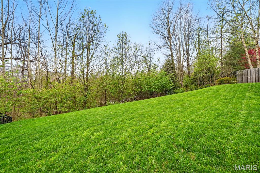 3151 Kingsridge Manor Drive Property Photo 42