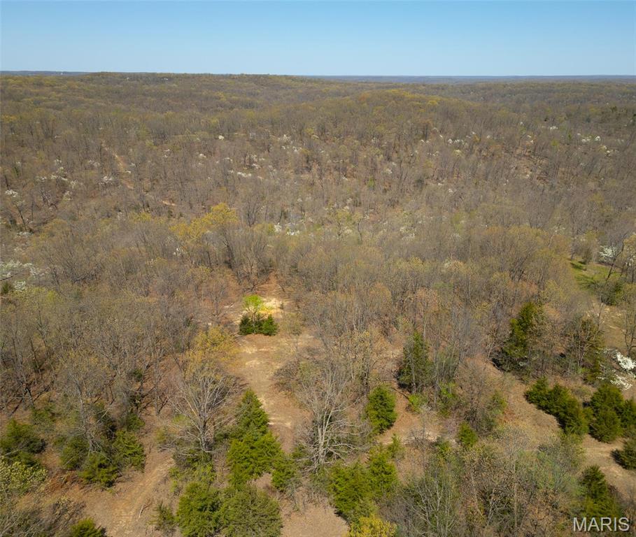 0 Dodds Camp Rd Property Photo 2