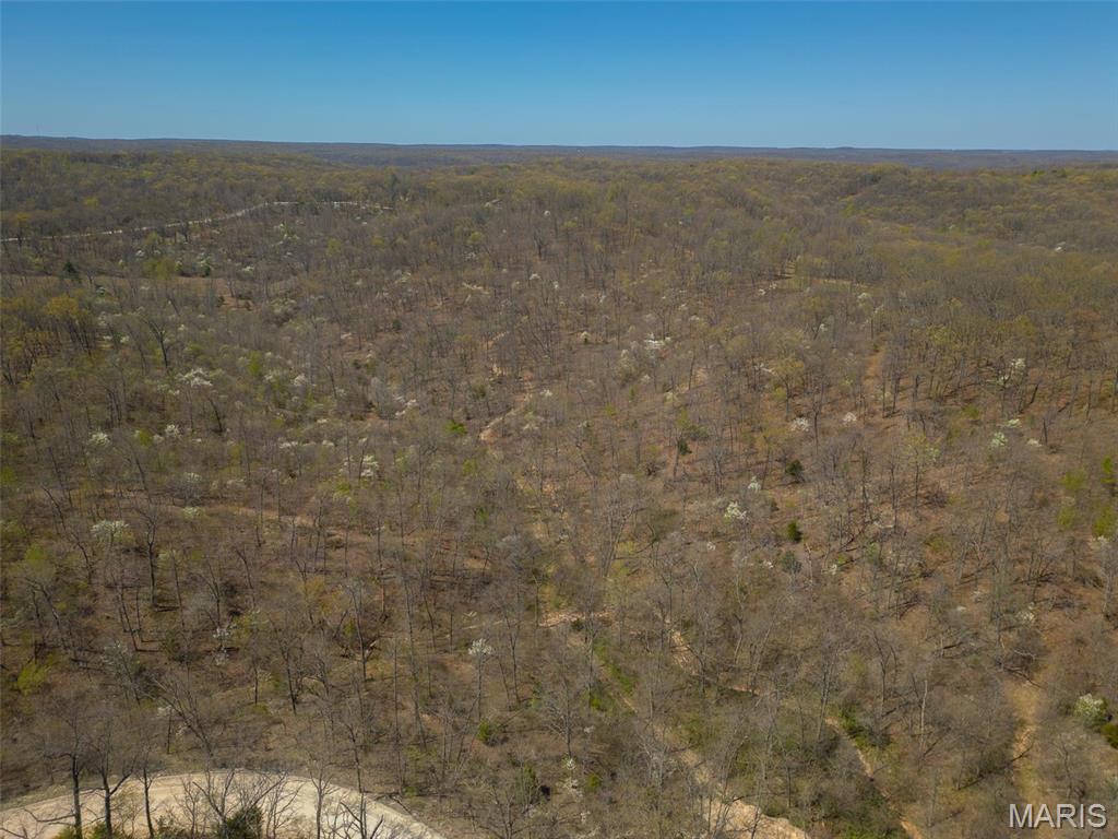 0 Dodds Camp Rd Property Photo 4