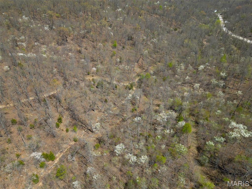 0 Dodds Camp Rd Property Photo 6