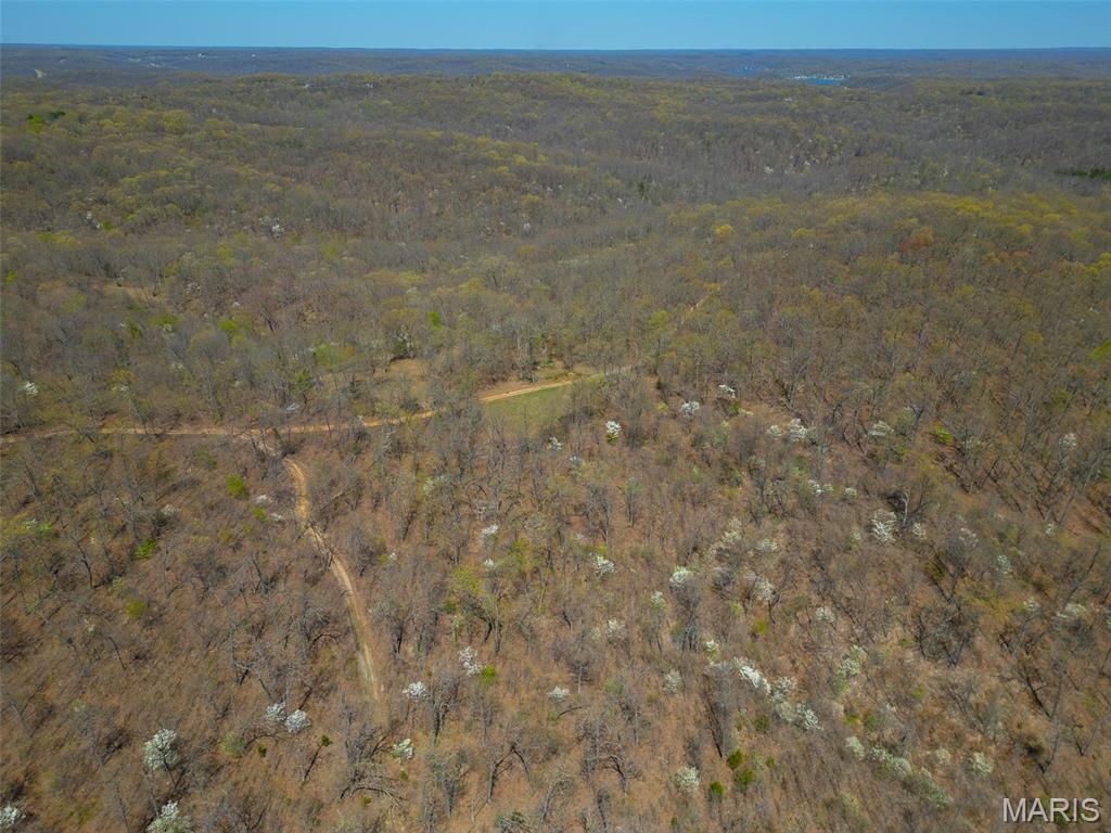 0 Dodds Camp Rd Property Photo 7
