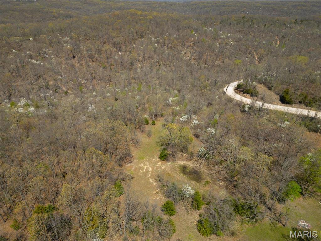 0 Dodds Camp Rd Property Photo 9