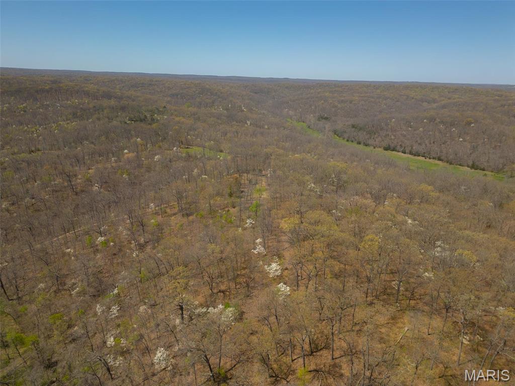 0 Dodds Camp Rd Property Photo 11