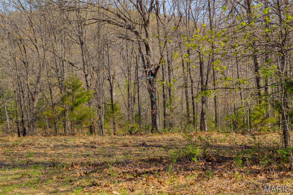 0 Dodds Camp Rd Property Photo 13