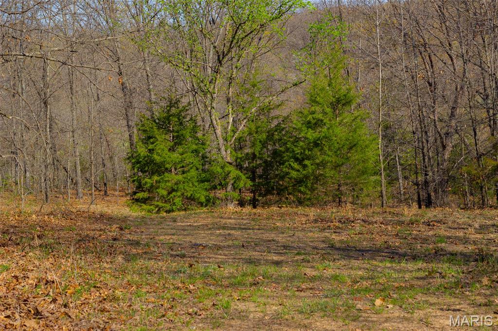 0 Dodds Camp Rd Property Photo 14