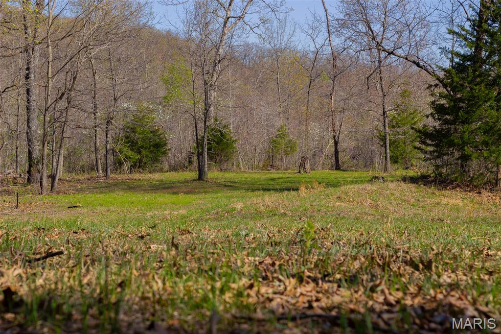 0 Dodds Camp Rd Property Photo 18