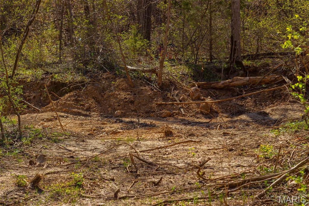 0 Dodds Camp Rd Property Photo 26