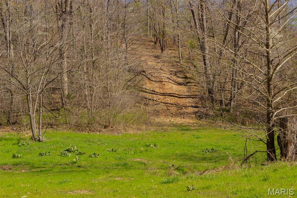 0 Dodds Camp Rd Property Photo 30