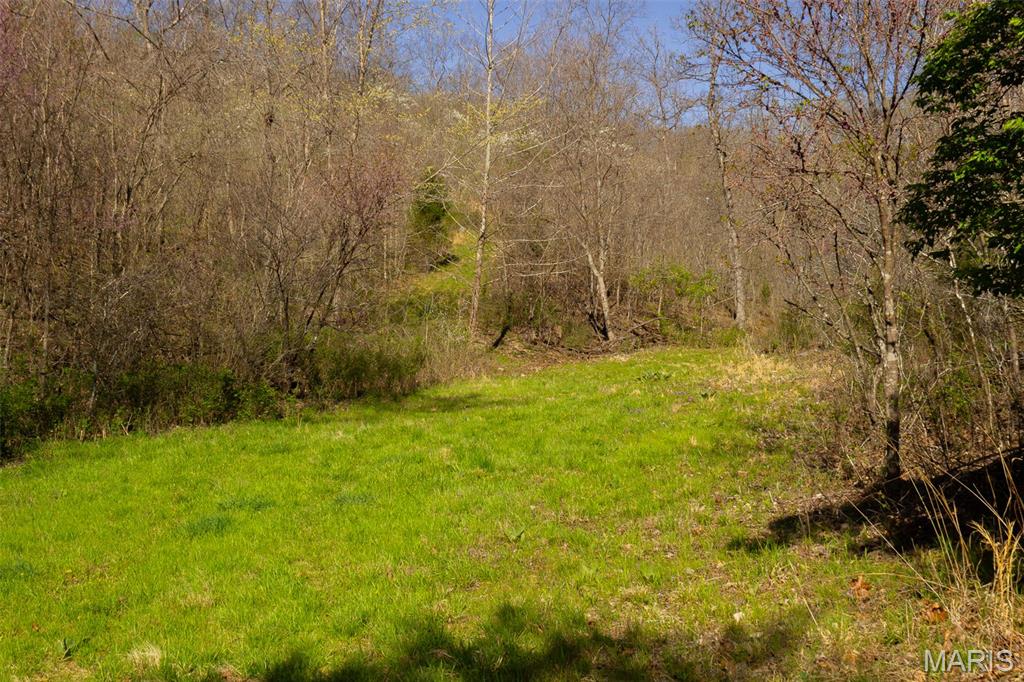 0 Dodds Camp Rd Property Photo 32
