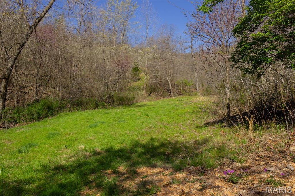 0 Dodds Camp Rd Property Photo 33