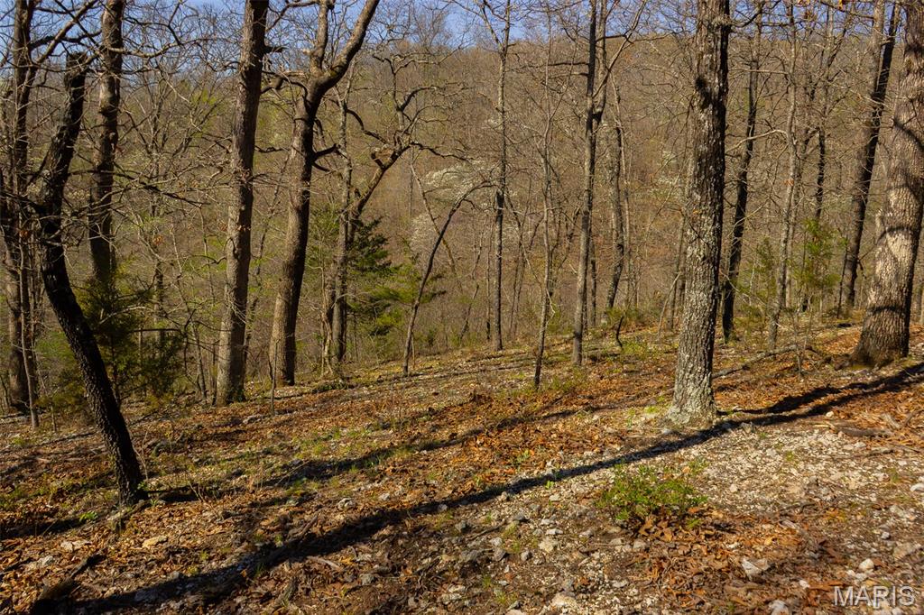 0 Dodds Camp Rd Property Photo 35