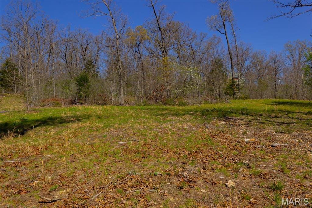 0 Dodds Camp Rd Property Photo 40