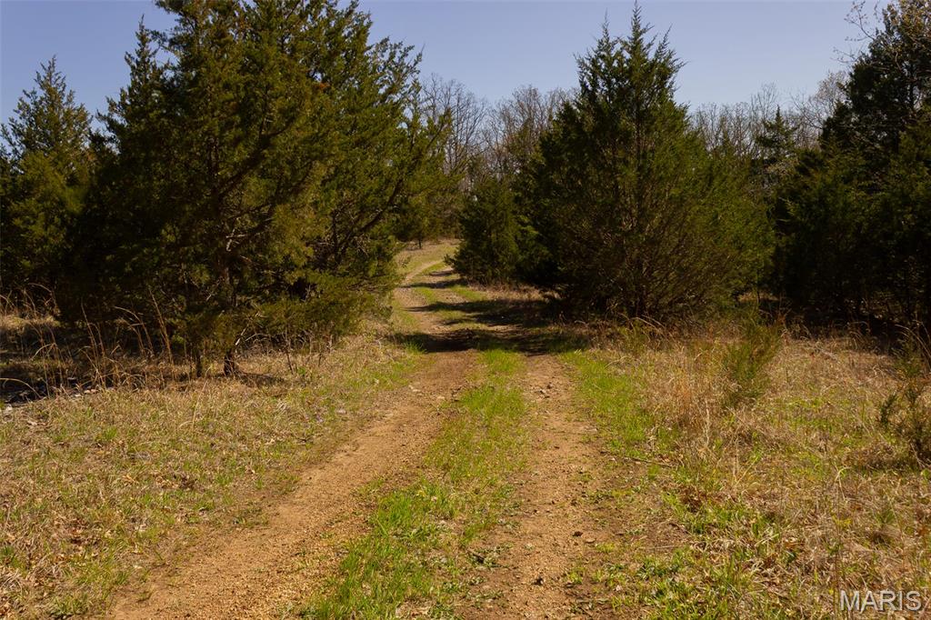 0 Dodds Camp Rd Property Photo 43