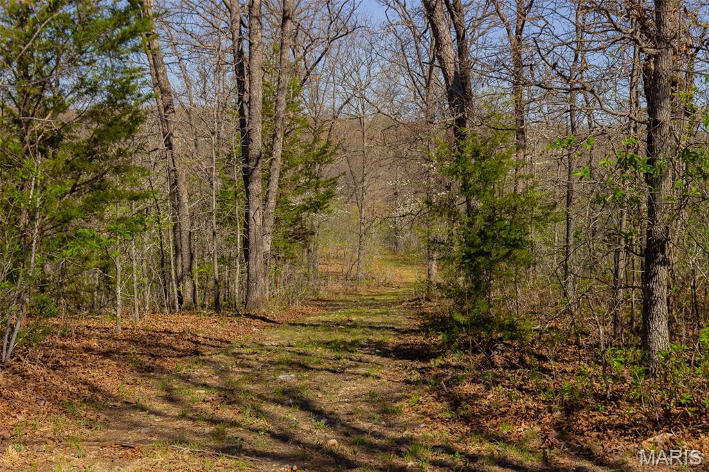 0 Dodds Camp Rd Property Photo 45