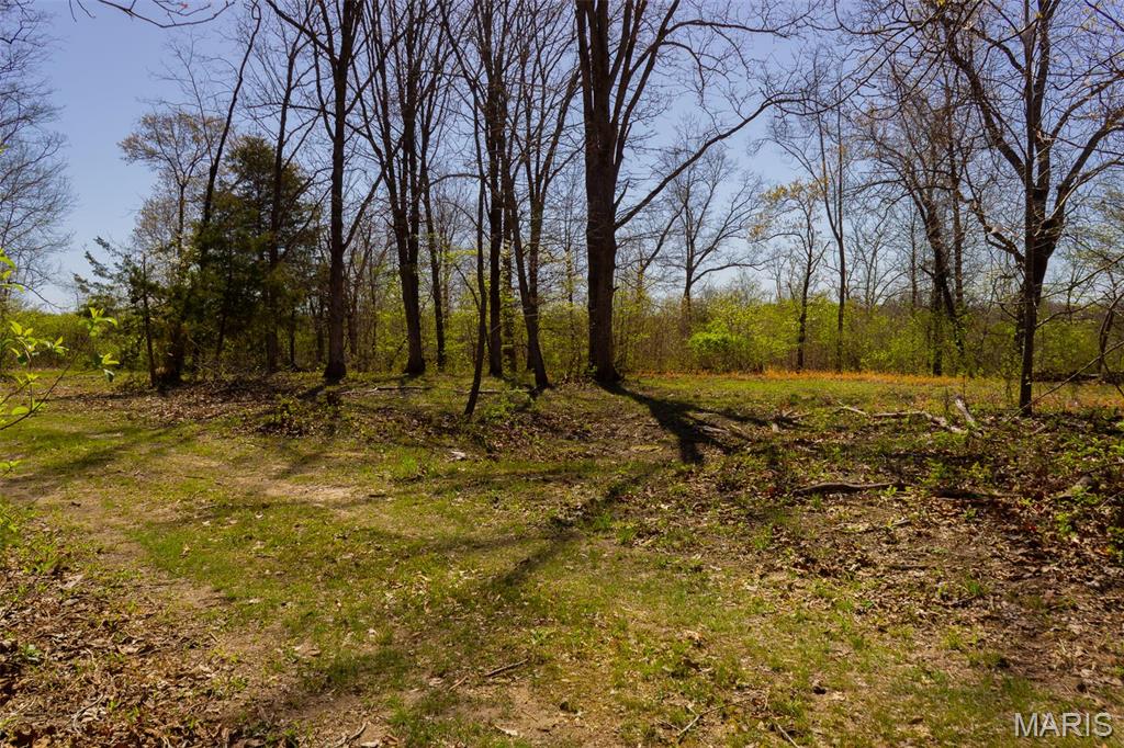 0 Dodds Camp Rd Property Photo 50