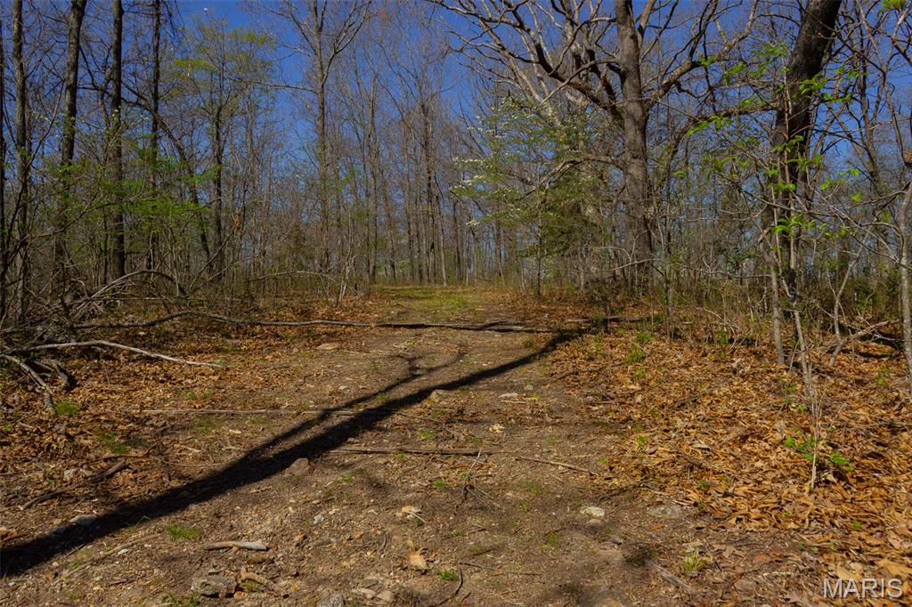 0 Dodds Camp Rd Property Photo 51