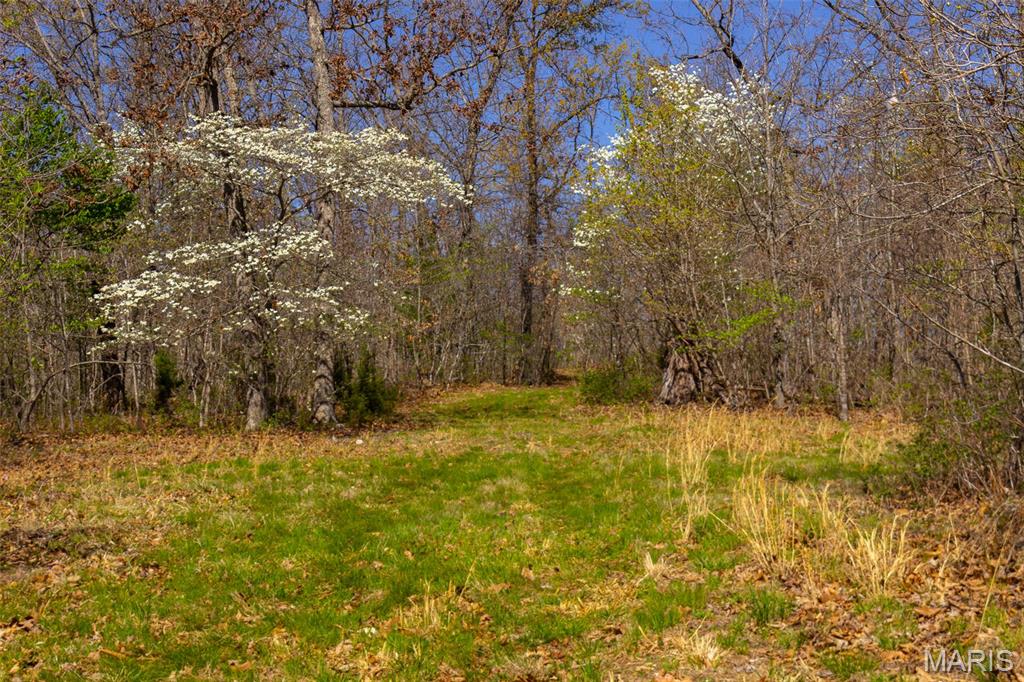0 Dodds Camp Rd Property Photo 52