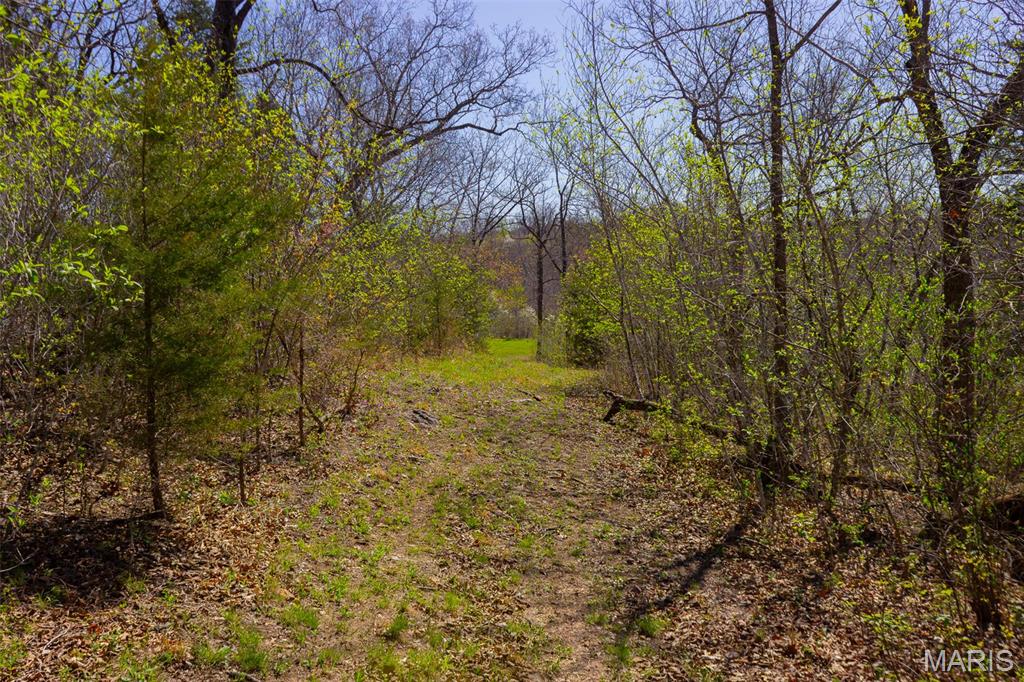 0 Dodds Camp Rd Property Photo 54