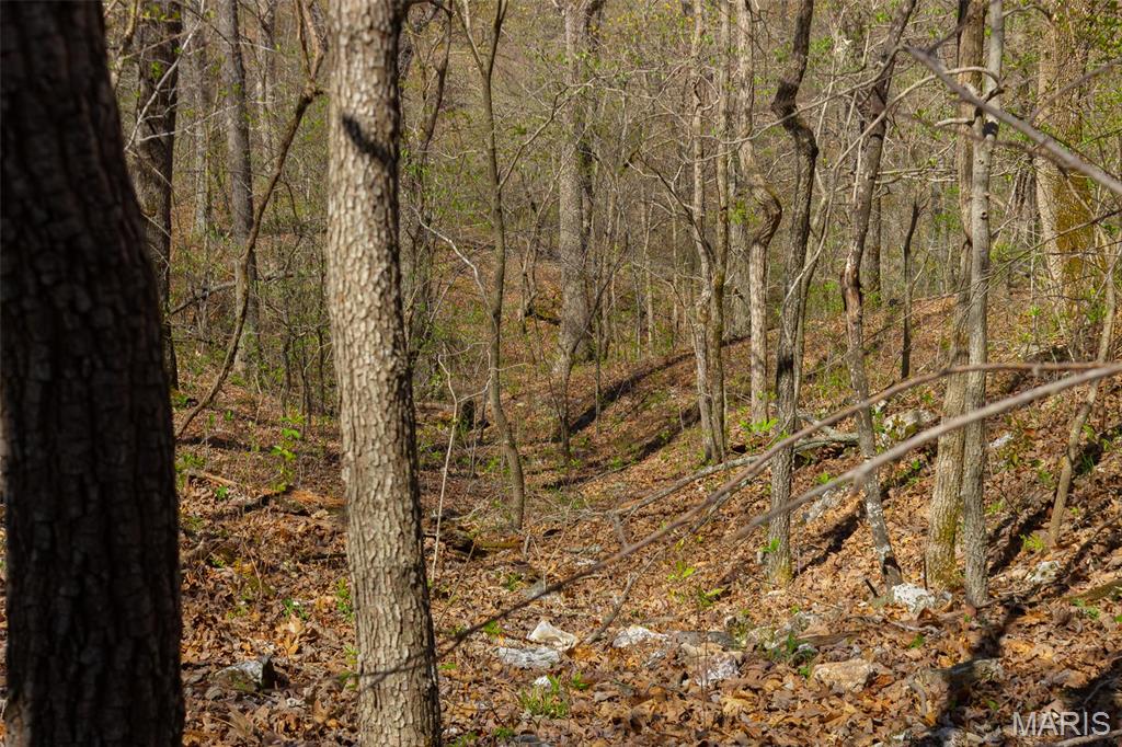 0 Dodds Camp Rd Property Photo 57