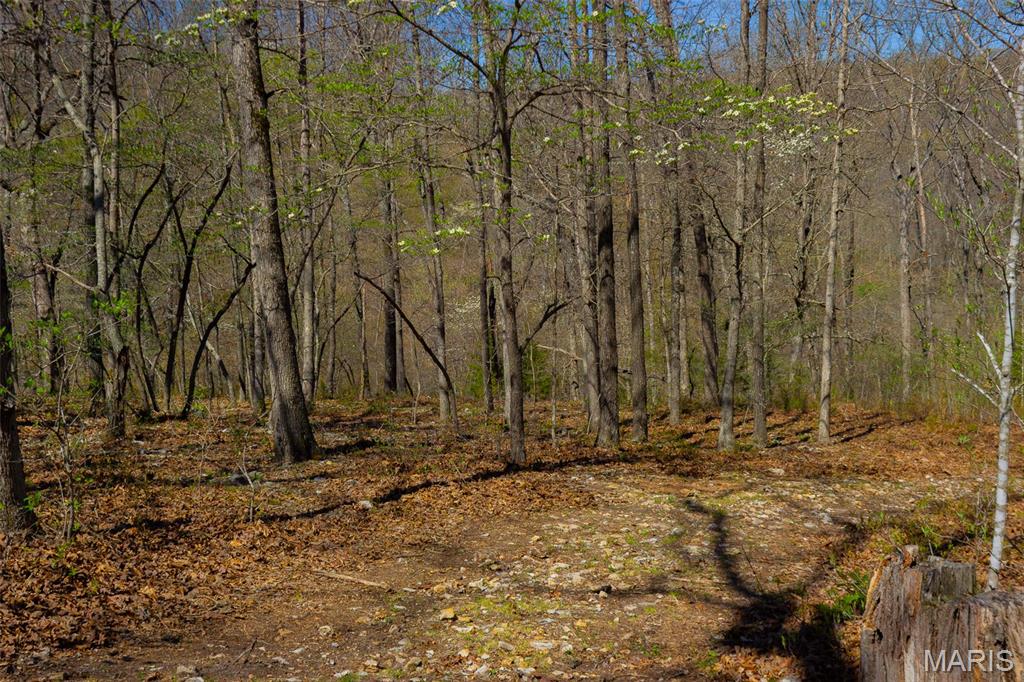 0 Dodds Camp Rd Property Photo 59