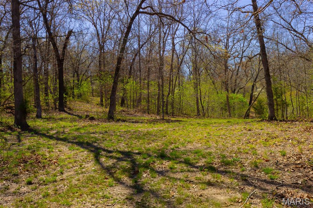 0 Dodds Camp Rd Property Photo 60