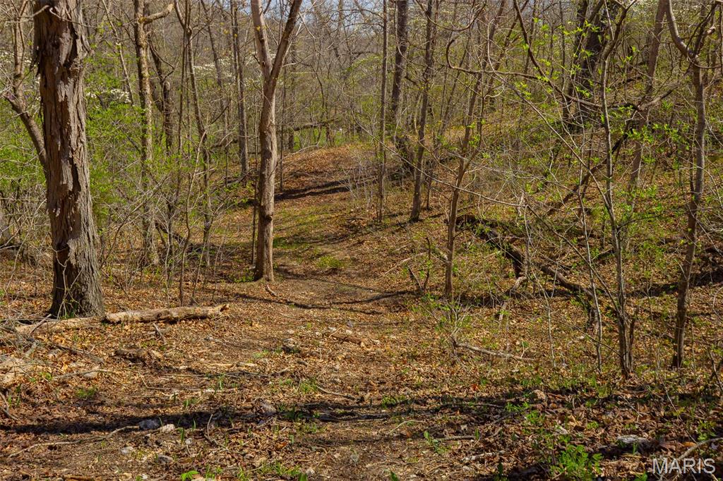 0 Dodds Camp Rd Property Photo 63