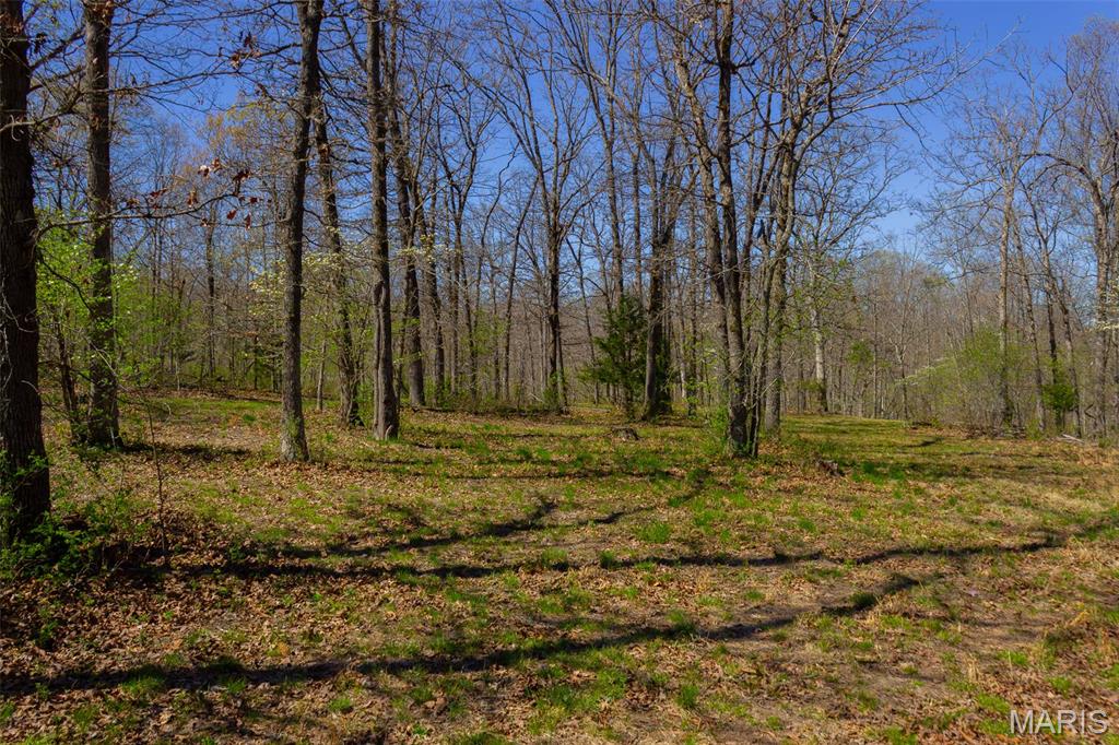 0 Dodds Camp Rd Property Photo 64