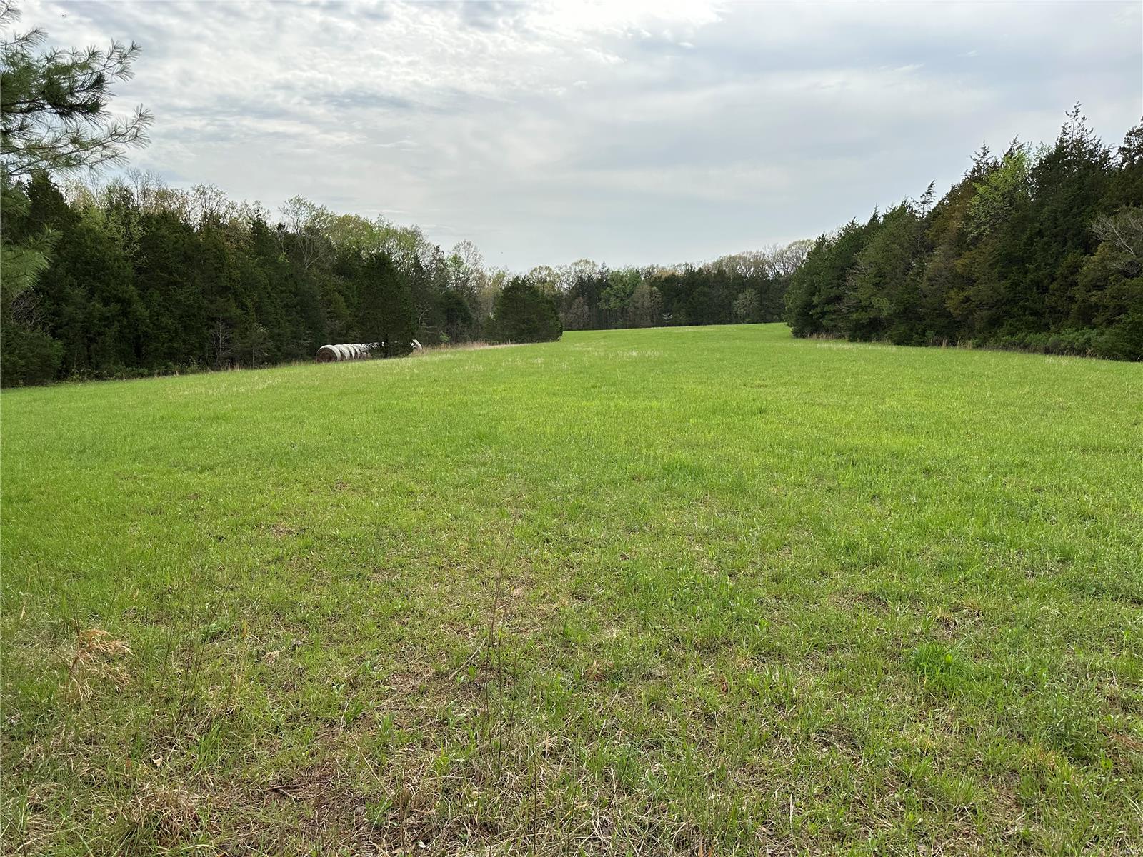 0 Butcher Branch Road Property Photo
