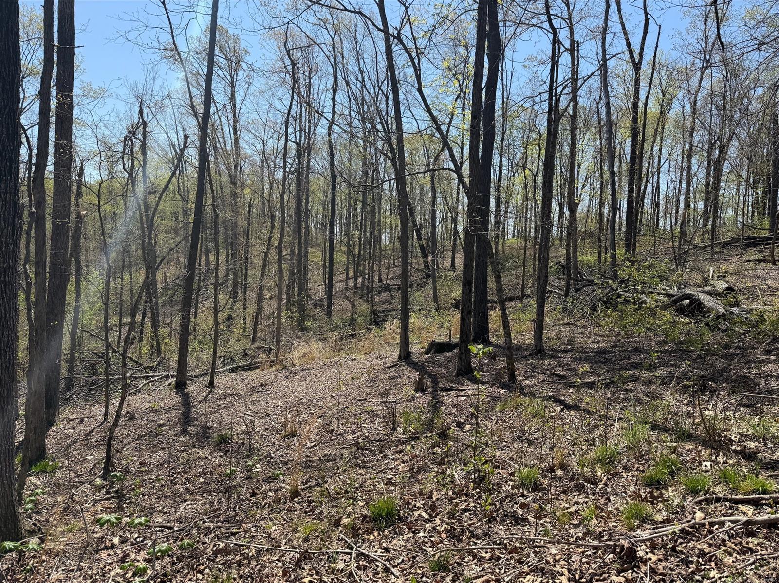0 Bcr 300 Property Photo