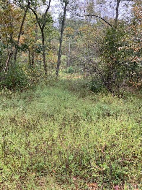 162 Madison Cr 410 Property Photo 1
