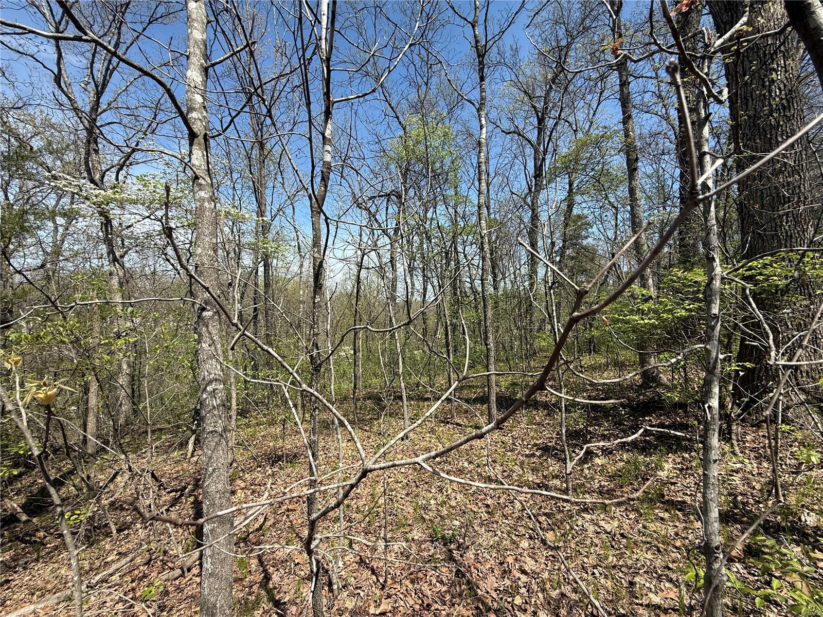 125 Jabin Farm Road Property Photo