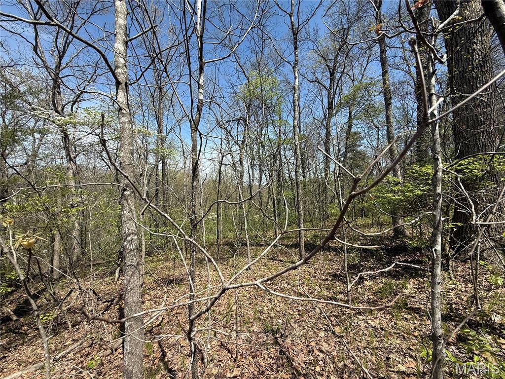 125 Jabin Farm Road Property Photo 1
