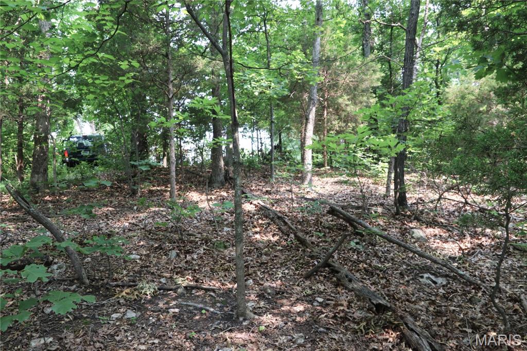 1 Off Tower Road Property Photo 1
