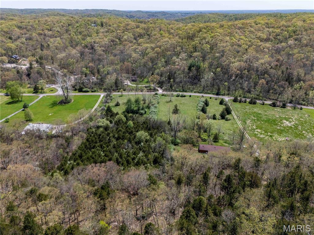 11155 State Highway D 2347 Property Photo 33