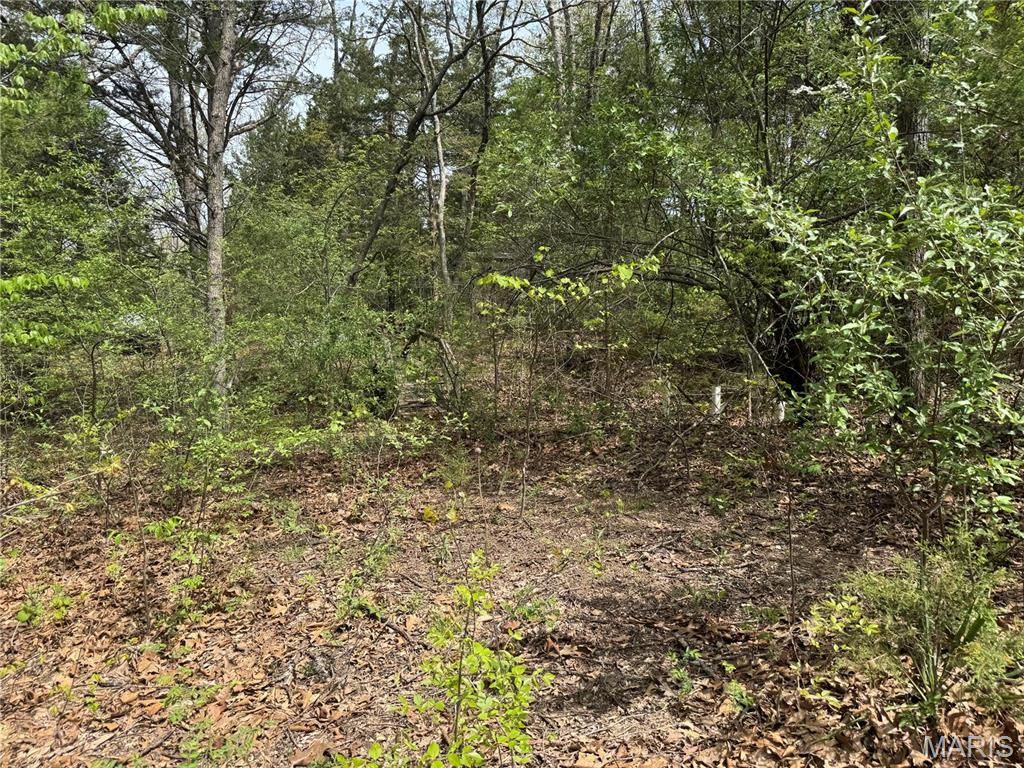 0 Maple Drive Property Photo 1