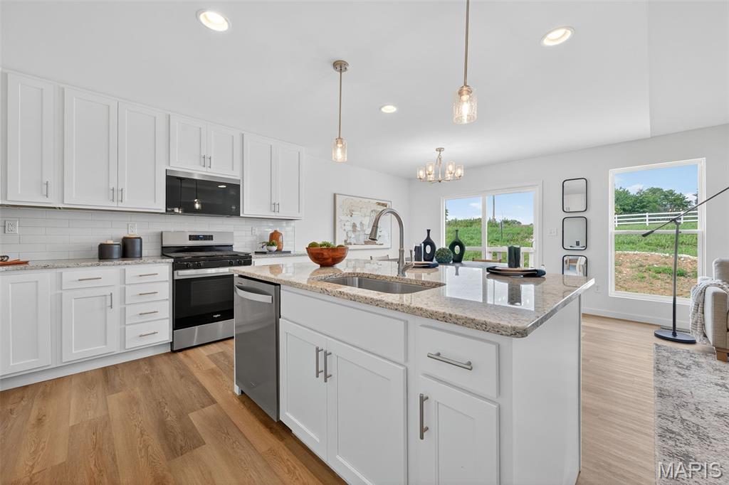 28925 Old Court Drive Property Photo 14