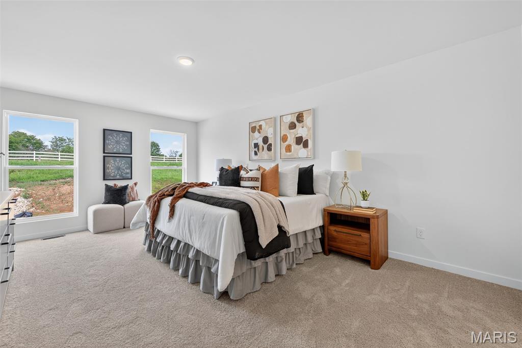 28925 Old Court Drive Property Photo 15