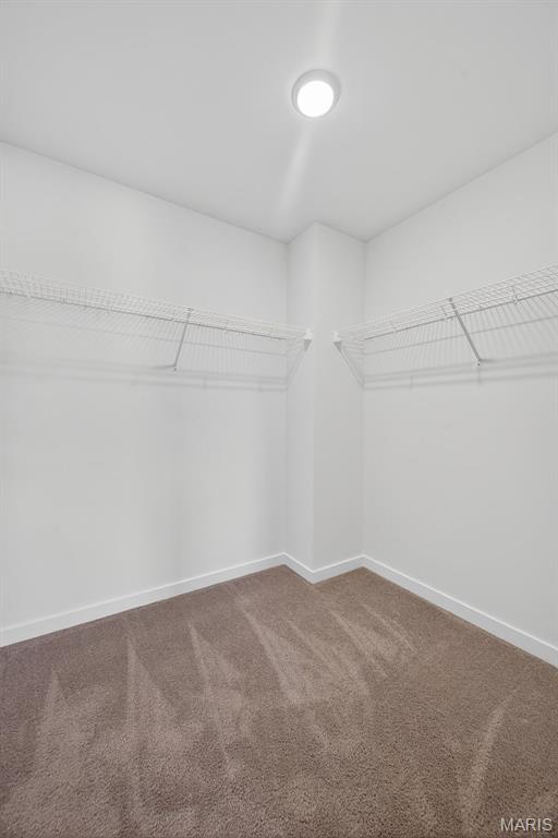 28925 Old Court Drive Property Photo 18