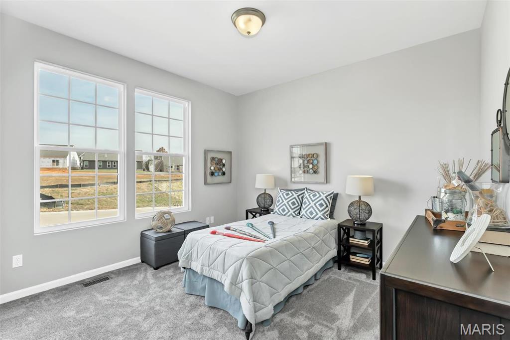 28929 Old Court Drive Property Photo 14