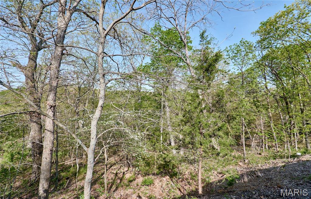 2111 Davis Drive Property Photo 36