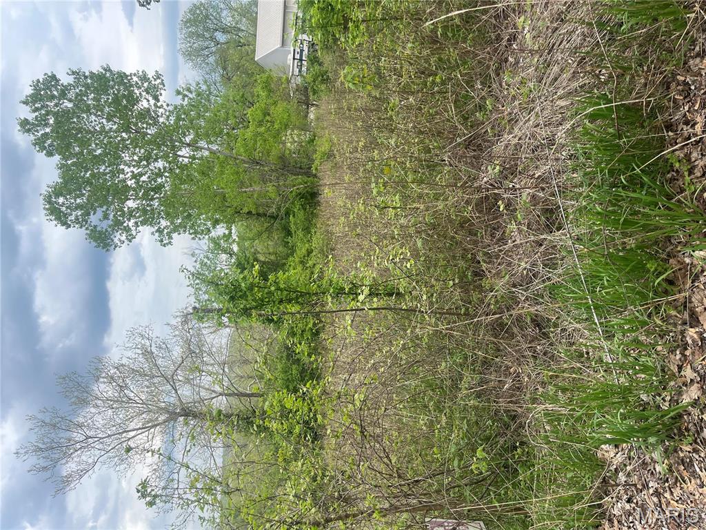 784 Sunset Maple Drive Property Photo 1