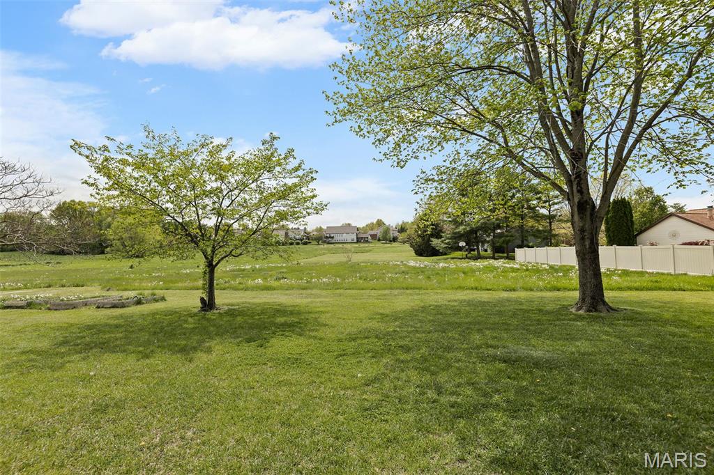 3708 Rhetts Landing Property Photo 5