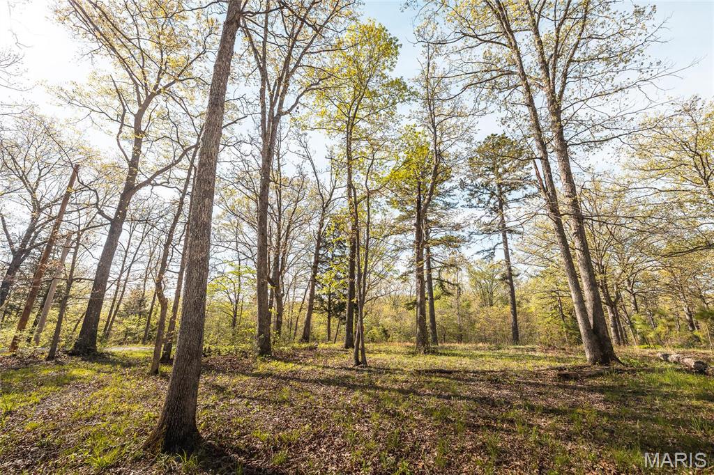17733 Sutton Road Property Photo 1