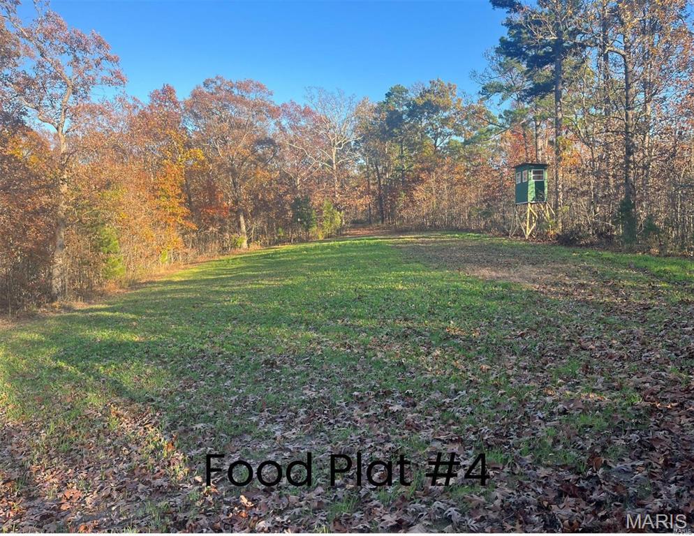 0 Tract 1 (160+/- Acres) Lodge Road Property Photo 1