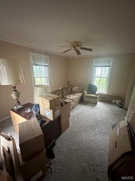 901 W Saint Louis Street Property Photo 7