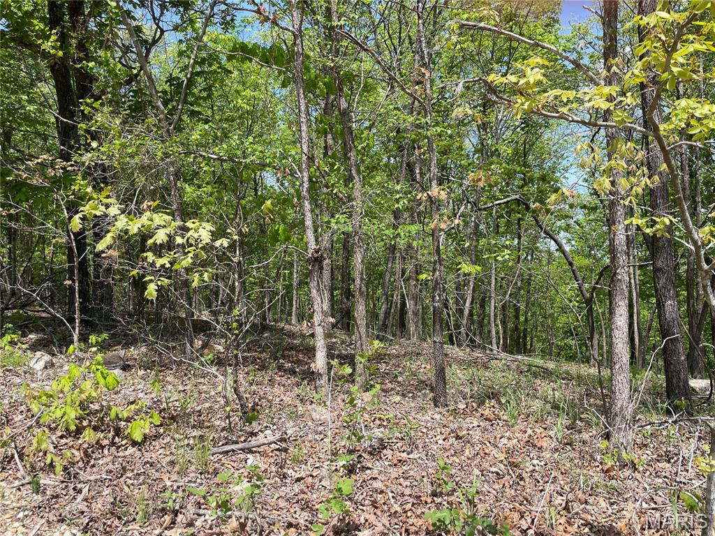 0 County Road 418 Property Photo 1