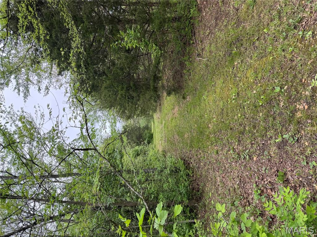 12711 Dude Lane Property Photo 1