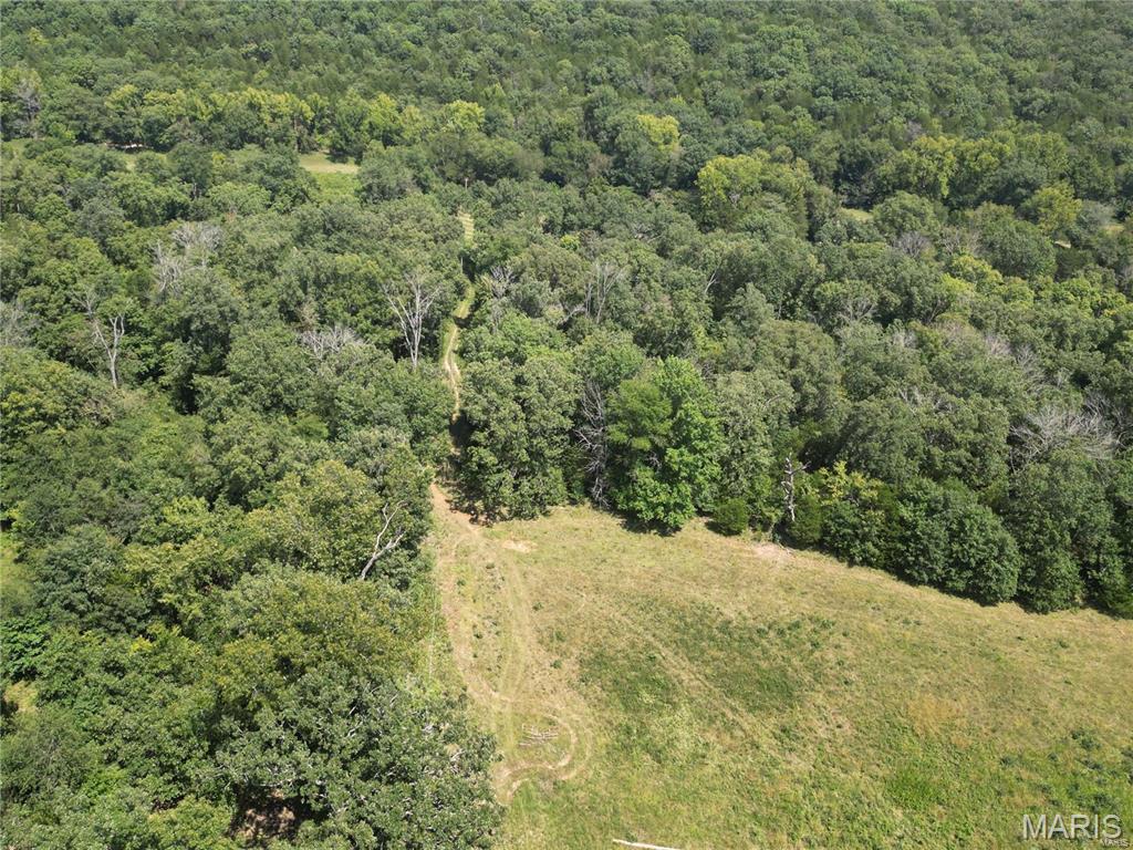 4 LOT TANGLEFOOT FARMS ROAD Property Photo 1